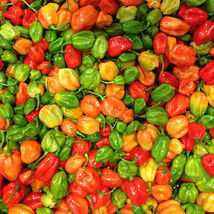 Aji Dulce Pepper Seeds - 10 Seeds - $7.00