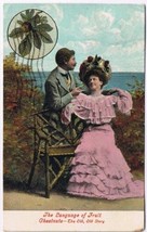 Postcard The Language Of Fruit Chestnuts The Old Old Story Valentine - $3.95