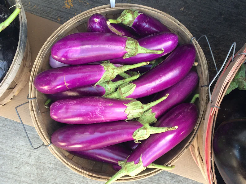 Thick-Fleshed, Purple-Red Variety, 1 Bag ( approx 400 seeds / bag) D - $12.35