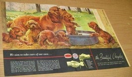 1948 Print Ad Chrysler-Plymouth Dealers Dog &amp; Puppies Get Bath - £10.96 GBP