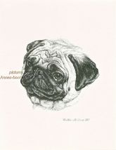 #242 PUG portrait * dog art print * Pen and  ink drawing * Jan Jellins - $12.50