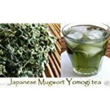 Japanese Mugwort Seeds-YOMOGI - Artemisia princeps, 2,000 Heirloom seeds - $6.93