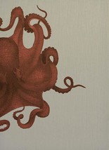 Wall Art Print 19th C Octopus Study 29x40 40x29 Coral Pink Linen Unfram - £300.34 GBP