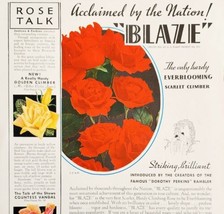 1934 Jackson &amp; Perkins Blaze Rose Seeds Advertisement Agricultural Ephem... - £19.57 GBP