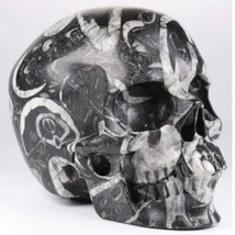 Shellstone Jasper Crystal Skull Reiki- Mineral- Healing-Quartz-Realistic - £11.73 GBP+