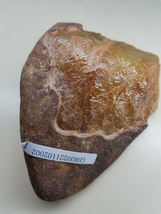 Item image 14