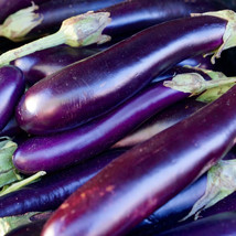50 Long Purple Eggplant Garden Seeds Nongmo Heirloom - £6.52 GBP