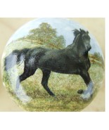 Cabinet Knobs Knob Arabian #2 @Pretty@ HORSE - €4,69 EUR