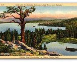Gold Lake Blairsden California CA Linen Postcard N25 - $3.91