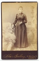 Lancaster PA Victorian Woman 1886 Lovely Fur Blanket Allors Studio Photo GG85 - $14.95