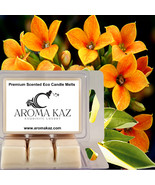 Ylang Ylang &amp; Neroli Scented Candle Melts X Strong 80hr Clam Packs - $25.99 CAD+