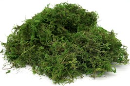 Generic Usmola Fake Moss, Artificial Green Moss For Potted, 4Oz (Fresh Green). - £23.96 GBP