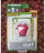 Basher Science Heart Figure Great for your Nerdy Valentine FREE SHIPPING - £7.58 GBP