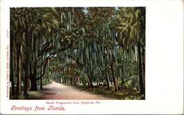 c1908 Postcard Florida Daytona Beach Ridgewood Avenue South from Magniola FL a3 - £17.73 GBP
