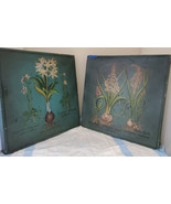 Two Palma Christi Ornithogalum Pannonicum Painting Home Decor - £7.74 GBP