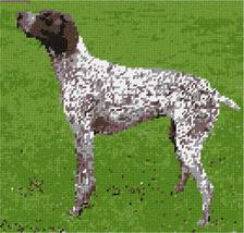 Pepita Needlepoint kit: German Shorthaired Pointer, 10&quot; x 10&quot; - £61.34 GBP+