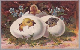 Wishing You Easter Joy Chicks Eggs Postcard A31 - £2.28 GBP