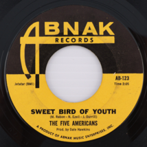 The Five Americans – Zip Code / Sweet Bird Of Youth 45 rpm 7&quot; Single Monarch - $4.43