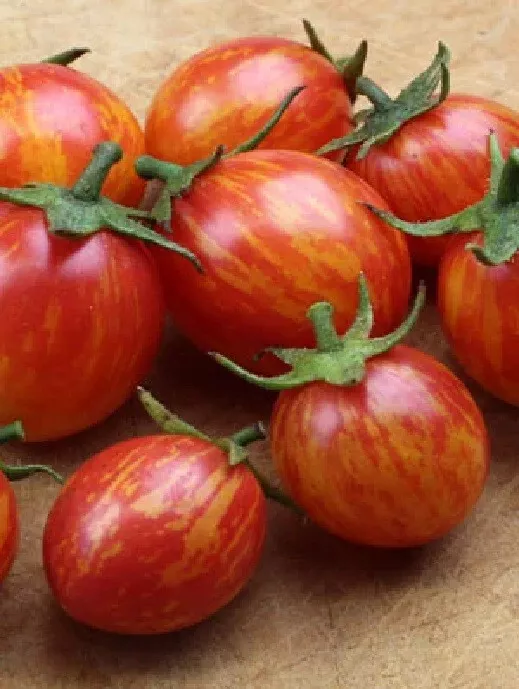 50 Seeds Pink Bumble Bee Tomato Tomatoe Vegetable Garden Edible Canning - $9.63