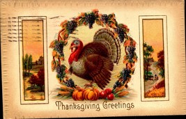 Vintage Embossed Postcard, &quot;Thanksgiving Greetings&quot; 1910 A.S. Meeker -BkC - £3.16 GBP