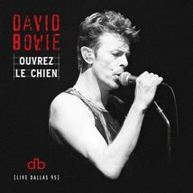 David Bowie Live in Dallas 1995 2 CDs Ouvrez Le Chien Rare Soundboards  - £19.98 GBP
