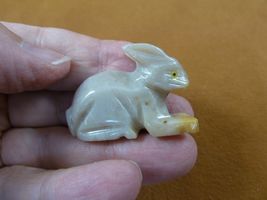 (y-BUN-32) gray white BUNNY RABBIT SOAPSTONE FIGURINE love rabbits HOP h... - $8.99