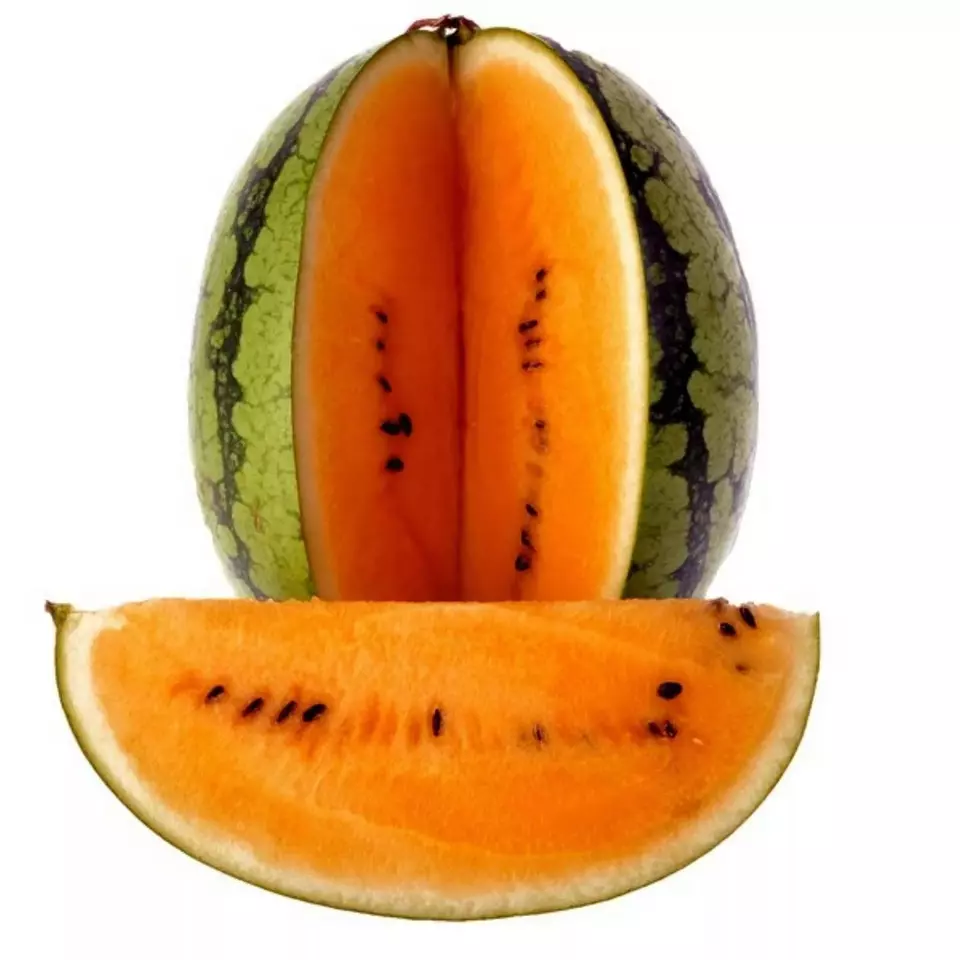 SKMO Orange Krush Watermelon Non Gmo 50 Seeds Bulk Indoor Gardening  - £7.21 GBP