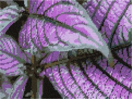 Pepita needlepoint canvas: Purple Leaves, 9&quot; x 7&quot; - $50.00+