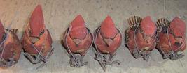 Item image 15