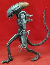 NECA Alien Vs Predator Arachnoid Alien - £15.63 GBP