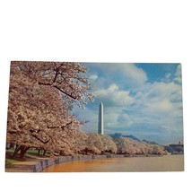 Postcard Washington Monument And Cherry Blossoms Washington DC Chrome Posted - £5.47 GBP