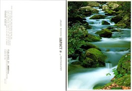 Tennessee Smoky Mountains National Park Roaring Fork Motor Trail VTG Postcard - £7.34 GBP