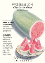 Charleston Gray Watermelon Seeds 2 Grams Fresh Garden - £3.75 GBP