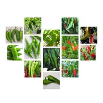 Chili Pepper Seeds Collection NON-GMO 12 Varieties to Choose From  - $9.61