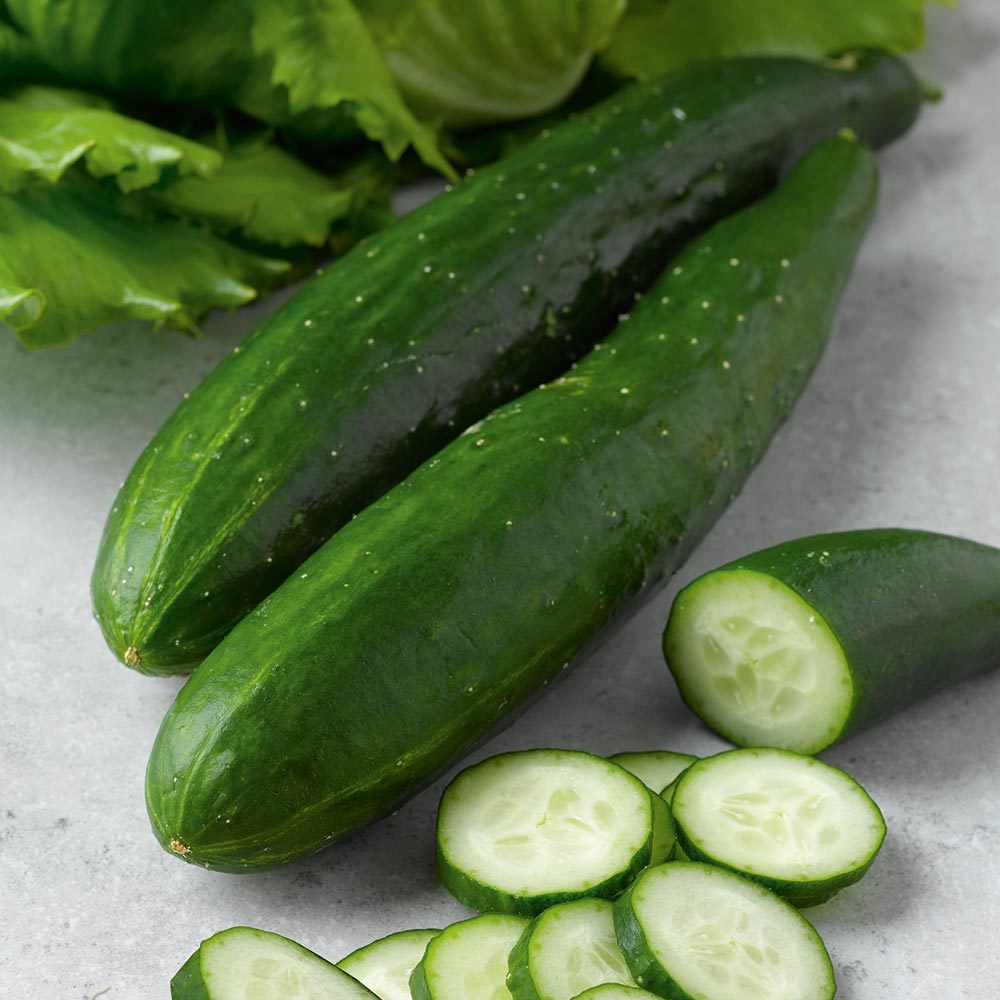 Long Green Improved Cucumber Seeds - Heirloom Slicing &amp; Pickling Variety - $5.98+