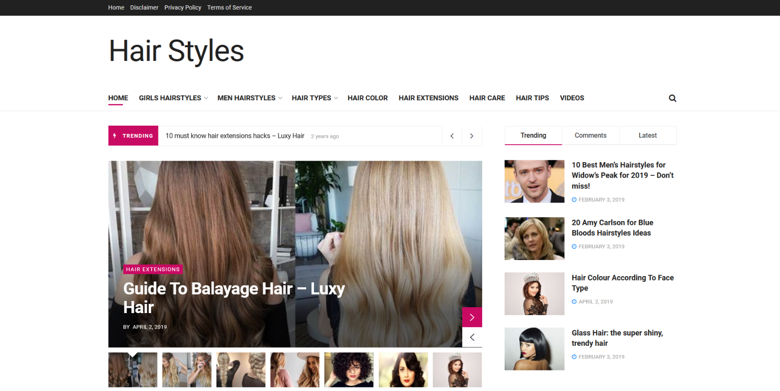 Automated Wordpress Hair Styles Website - Turnkey Profitable Site - $14.23