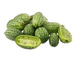20 Cucamelon Mexican Sour Gerkin Seeds Mouse Melon Superior Cucumber Fas... - $8.99