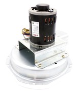 Blower Motor 230V Replaces Packard 66815 Carrier ICP 1171314 50DK406181 - £265.74 GBP