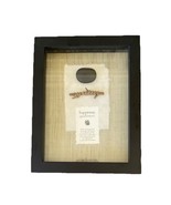Shadow Box Happiness Proverb Wall Art with Good Luck Stone Glass Black F... - $219.59 MXN