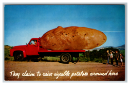 Funny Idaho Potatoes Huge Potato on Back of Truck Postcard Unposted - £3.92 GBP