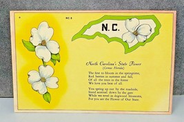 circa 1930-1940 Linen Postcard North Carolina&#39;s State Flower Corus Florida - $5.95