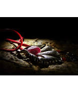 LILU SUMERIAN VAMPIRE SEX DEMON INCUBUS SUCCUBUS Ruby Pendant izida haunted - $444.00