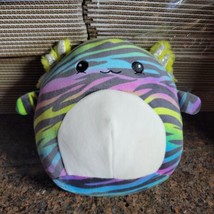 Squishmallow 8&quot; Mystery Axolotl  Rainbow  Zebra Stripe Plush  - £15.34 GBP