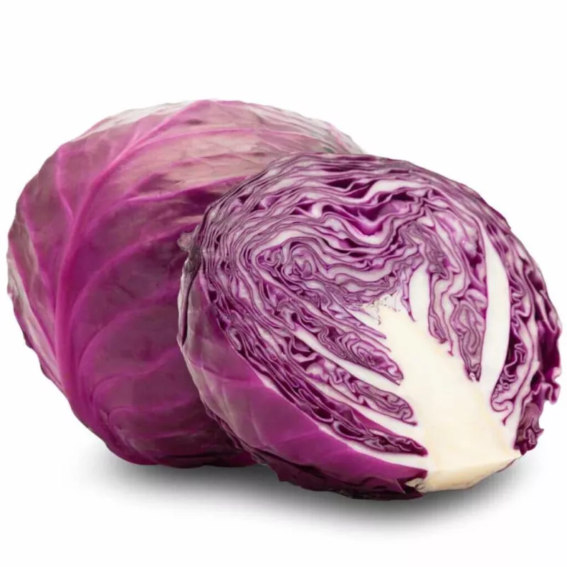 500 Red (Purple) Cabbage Seeds for Garden Planting - $5.48