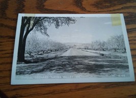 015 VTG Photo Postcard Yakima Valley Typical Orchard Unused - £7.16 GBP