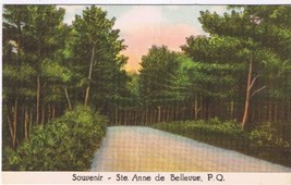 Postcard Souvenir Ste Annd de Bellevue Quebec - £2.38 GBP