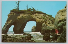 Elephant Rock Washington Seacoast Rocky Cliffs Dashing Waves Scenic Postcard - $6.90