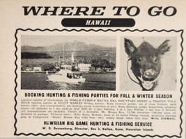 1960 Print Ad Hawaiian Big Game Hunting &amp; Fishing Service Trophy Wild Boar Mount - $10.78