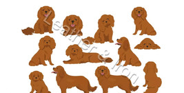 New Cav King Charles Spaniel Brown Pattern Vinyl Checkbook Cover - $8.75