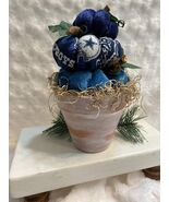 Dallas Cowboy Pumpkin Patch Pot - Fabric - Cotton - Velvet - $32.00